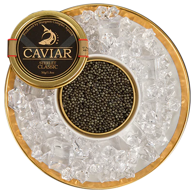 Sterlet Caviar Entertainer (MALOSSOL) 50g